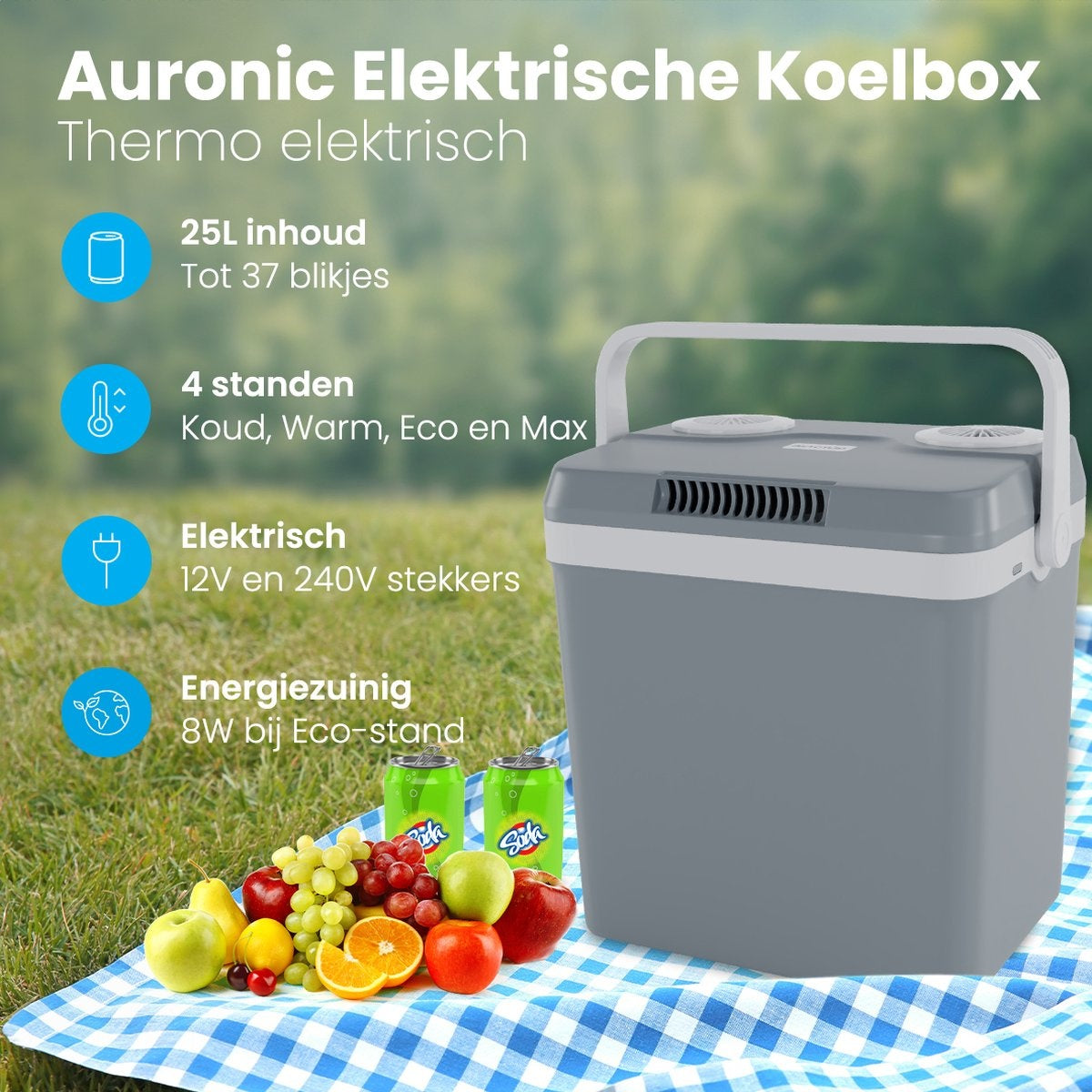 Auronic Elektrische Koelbox - Coolbox - 25L - 12V en 240V - Grijs