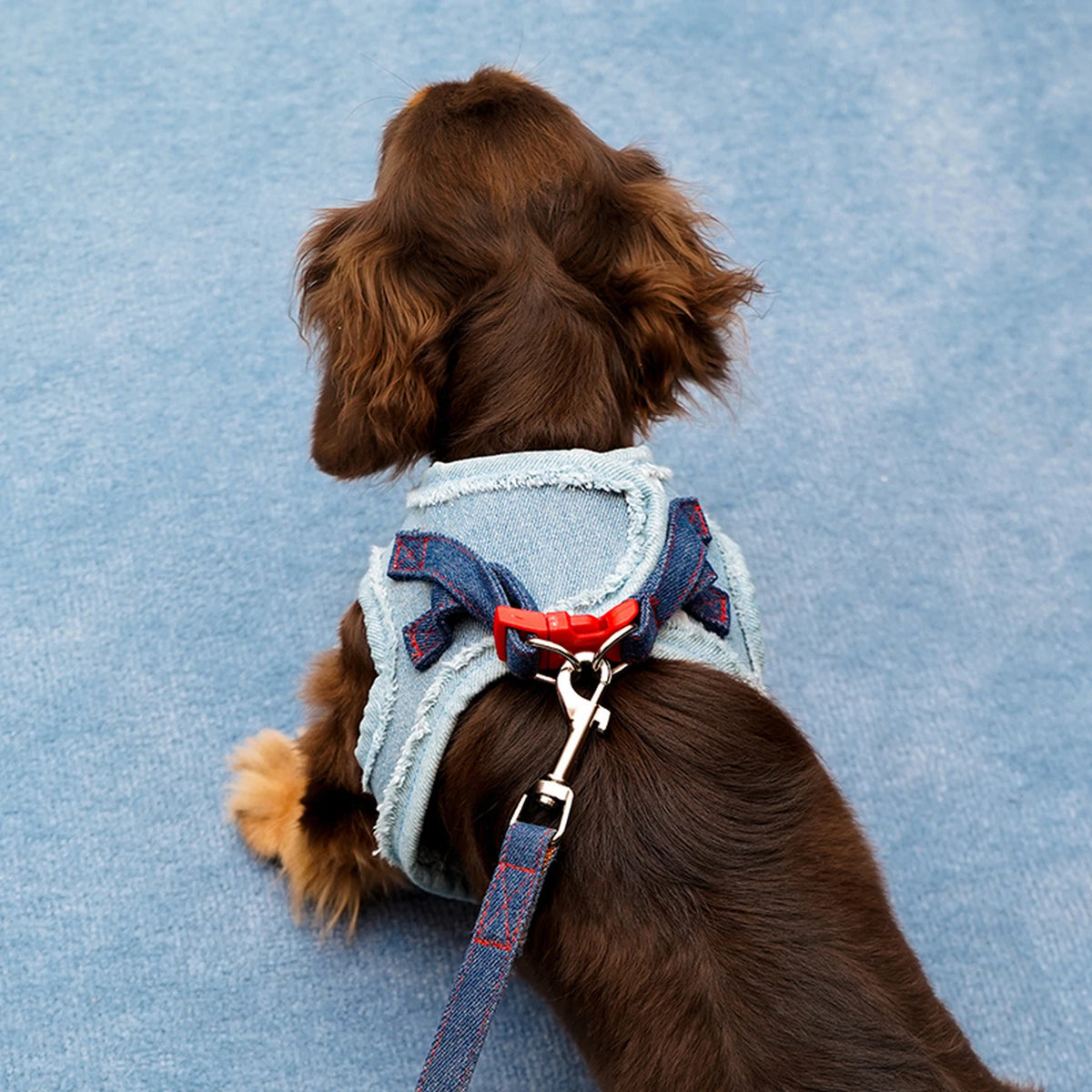 Zeze Denim Hondentuig - Maat S - Borstomtrek 34–42 cm - Voor Kleine Honden van 2,5–5 kg
