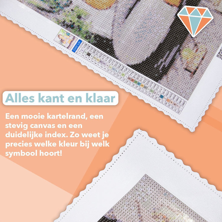 Vivora Diamond Paint Tekening - 5D - 10x10x5 cm