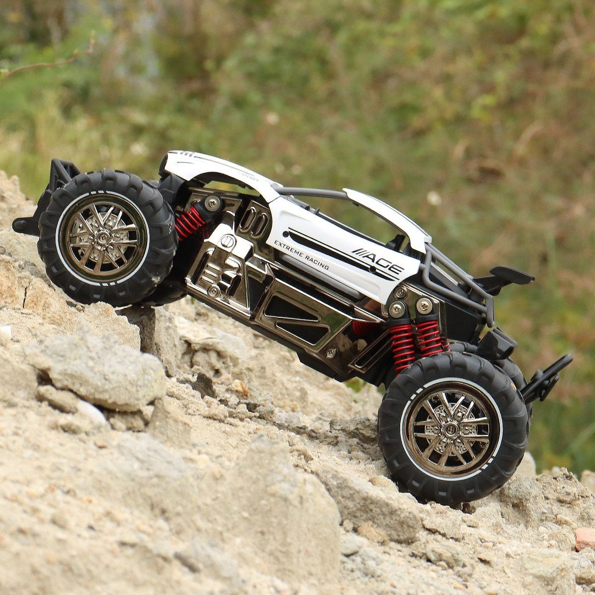 Fuegobird RC Auto - RC Voertuig - hoge snelheid speelgoedauto - groente