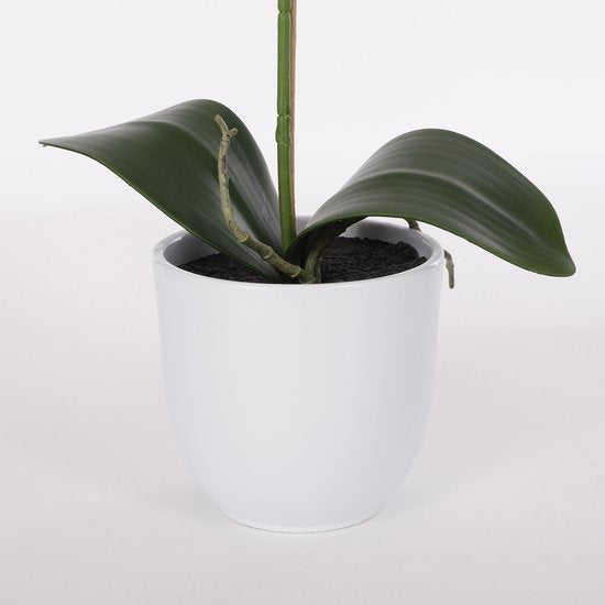 Mica Decorations Phalaenopsis Kunstplant in Bloempot Tusca - H60 x Ø16 cm - Paars