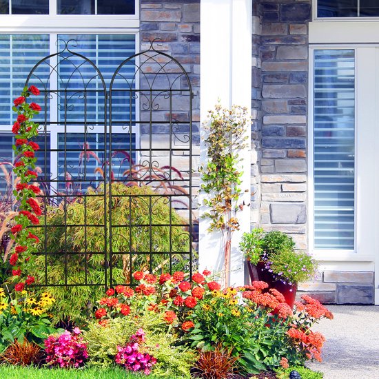 klimplantenrek - metaal - set van 2 - 220 x 50 cm - trellis - zwart