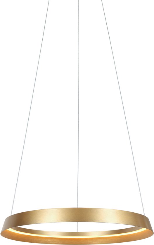 Steinhauer - hanglamp - Ringlux - goud - metaal - Ø 60cm - LED - 3692GO