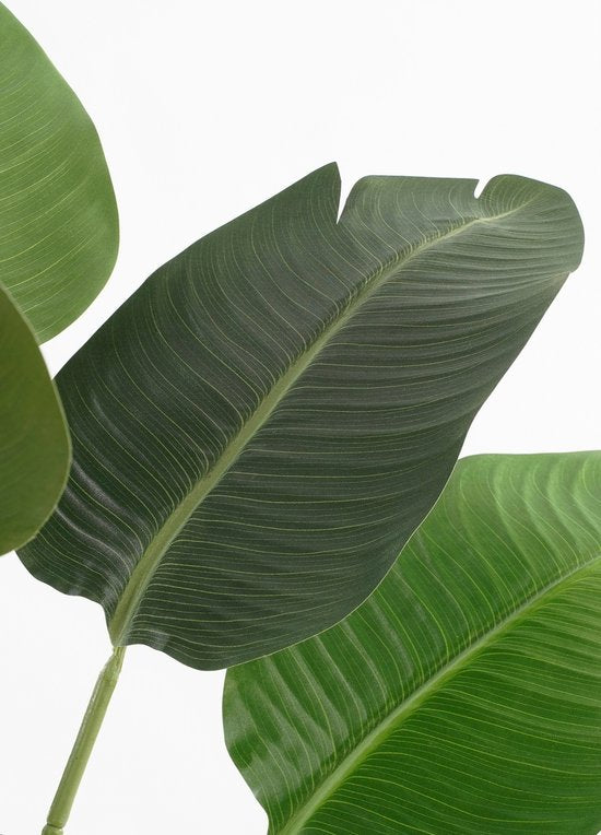 Mica Decorations Bananenboom in Pot - Kunstplant - Groen - 30x30x180 cm