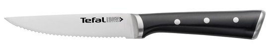 Tefal Ice Force - Steakmes - 11 cm - 4-delige Set - RVS - IJsgehard - Ergonomisch