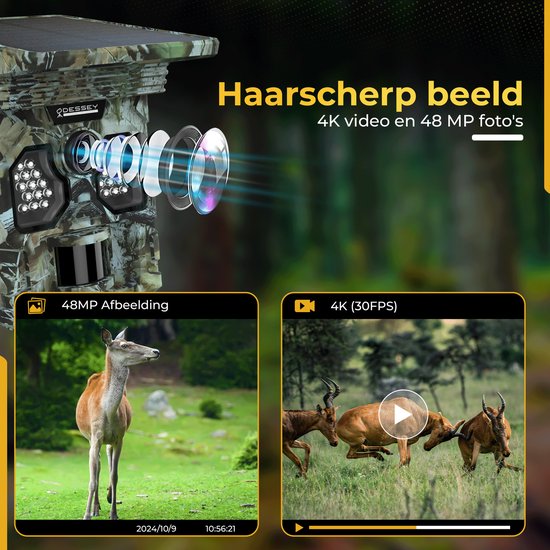 ODESSEY WildCamera met Zonnepaneel - 4K - 48MP - 64GB SD - met Nachtzicht - voor Buiten - Infrarood
