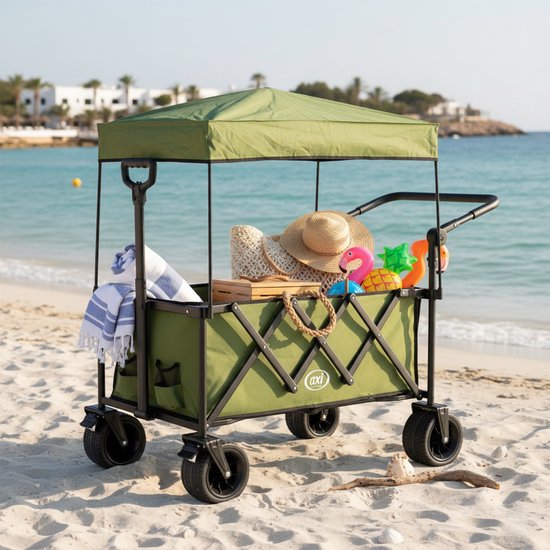 AXI SB221 Opvouwbare Bolderwagen met dak – Groen – Met Trekstang, Remmen en Hoes – 100 kg Draagvermogen – Eenvoudig mee te nemen - Metaal