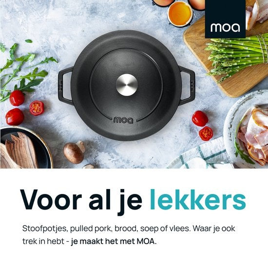 MOA Braadpan - Gietijzer - Inhoud 5,7 liter - 26CM - Rond - Alle warmtebronnen - Ook voor inductie - Gewicht 5,8 kg - Zwart - C26B