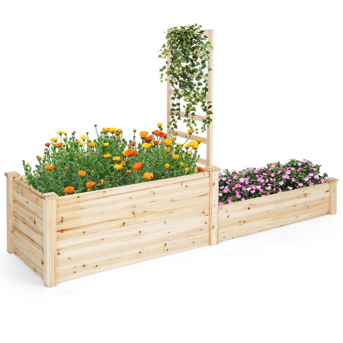 Coast Plantenbak - 2 Bakken en 1 Rek voor Klimplanten - Open Onderkant - 223 x 64 x 134 cm - Dennenhout