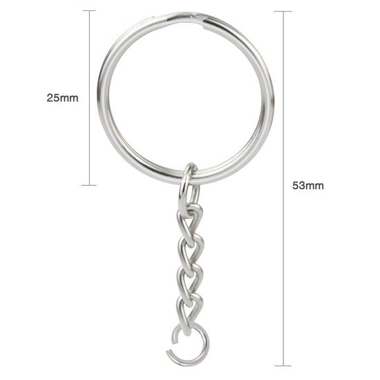 Sleutelringen met Ketting - 100 RVS Sleutelhanger Split Ringen - Sleutel Hanger Splitringen Set - 25 mm - 100 Stuks - Inclusief sleutelhanger met huisje