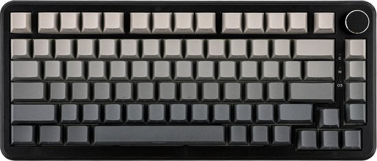 Ajazz AK820 MAX HE - 75% Bedraad RGB Gaming Toetsenbord - Hall Effect Rapid Trigger Mechanisch Toetsenborden - Zij Bedrukte toetsen - Gasket - Hot Swap - 8K Hz Polling Rate - QWERTY Toetsenborden - 82 Keys - Gradiënt Grijs