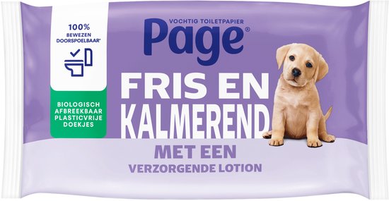 Page® vochtig toiletpapier - Fris en Kalmerend (Care) - met een verzorgende lotion - 456 velletjes - 12 x 38 stuks - Voordeelverpakking