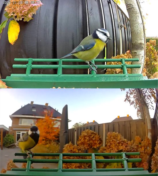 BOME Vogelvoederhuisje - Dubbele 2K HD Camera - Voedersilo - AI Vogelherkenning - Met Zonnepanelen