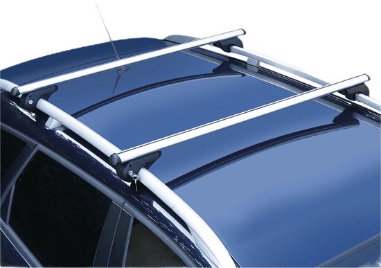 Pro Plus Dakraildrager - Lengte 120 cm - Aluminium - Maximale Belasting 90 kilo - 2 stuks