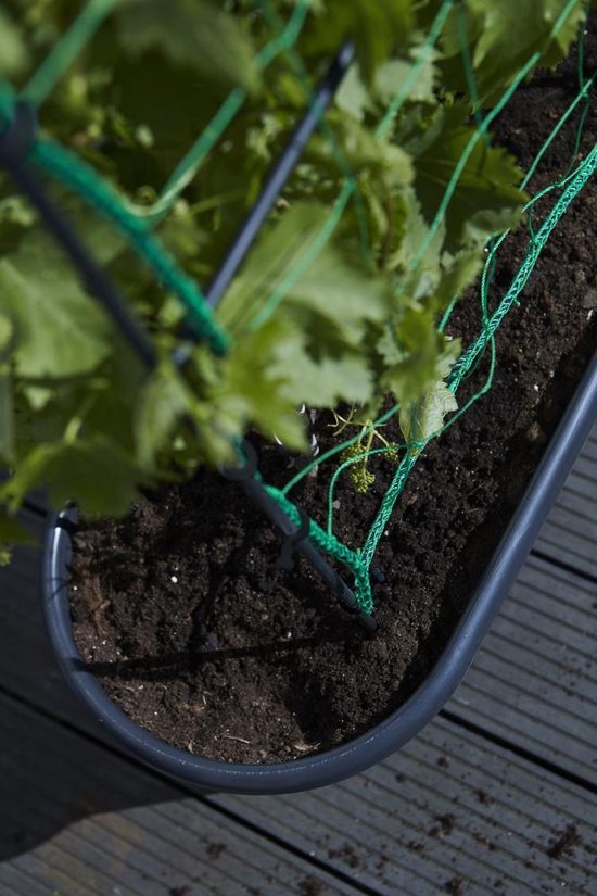 Elho Green Basics Veggie Wall 80 - Kweekbak - Verticaal Tuinieren - 100% Gerecycled Plastic - Ø 77.5 x H 26.0 cm - Living black