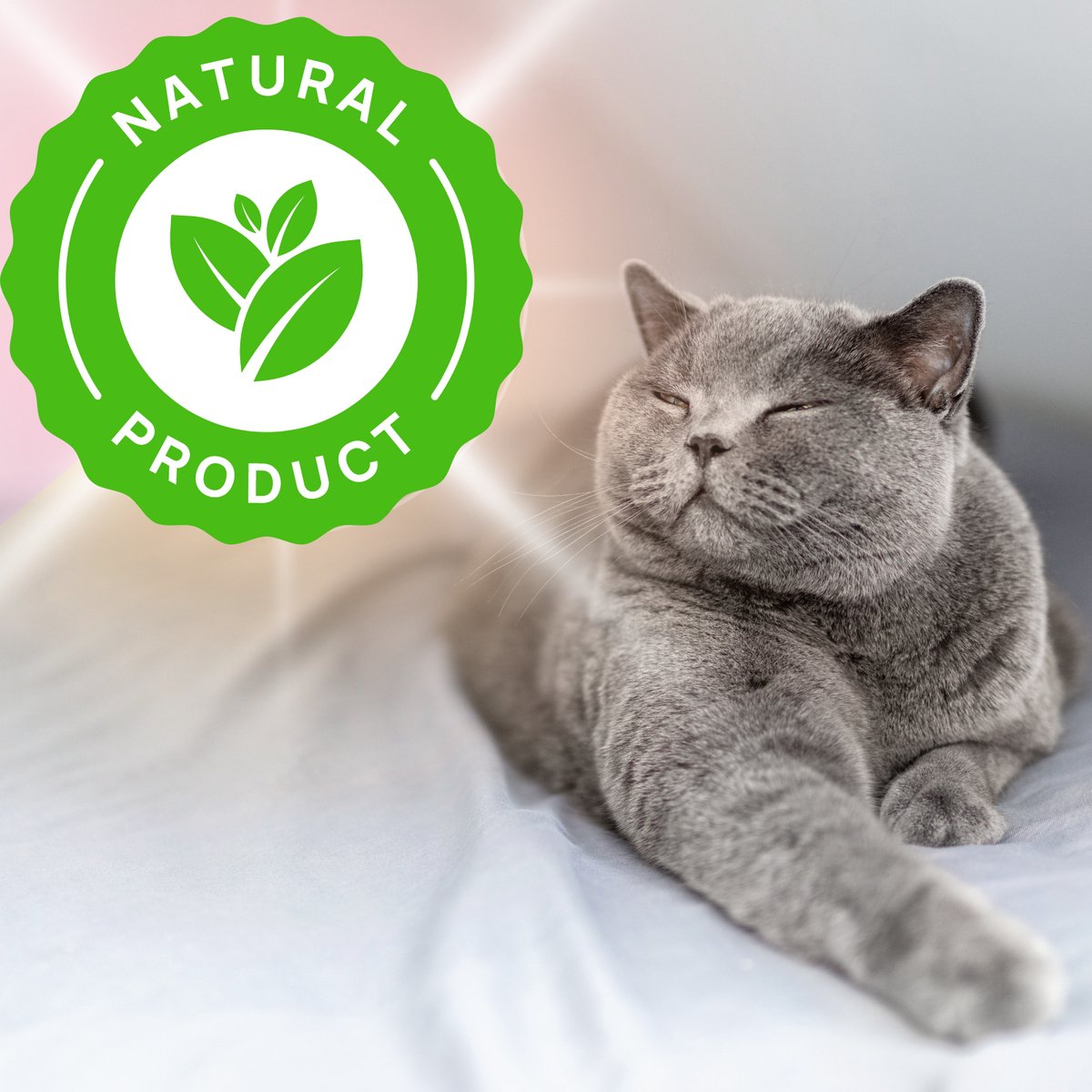 Vlooienband Kat Effectief Tegen Vlooien En Teken - Vlooienmiddel - Beter Dan Vlooiendruppels - Grijs - Incl. Vlooienkam - Organic