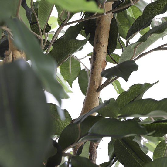 Mica Decorations Ficus Kunstplant - H110 x Ø65 cm - Groen