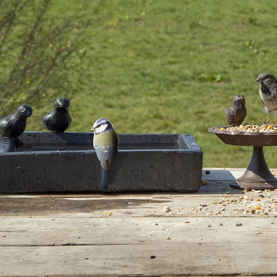 Best For Birds Vogelbad Terrazzo Vierkant - Drinkbak - 32x32x12 cm