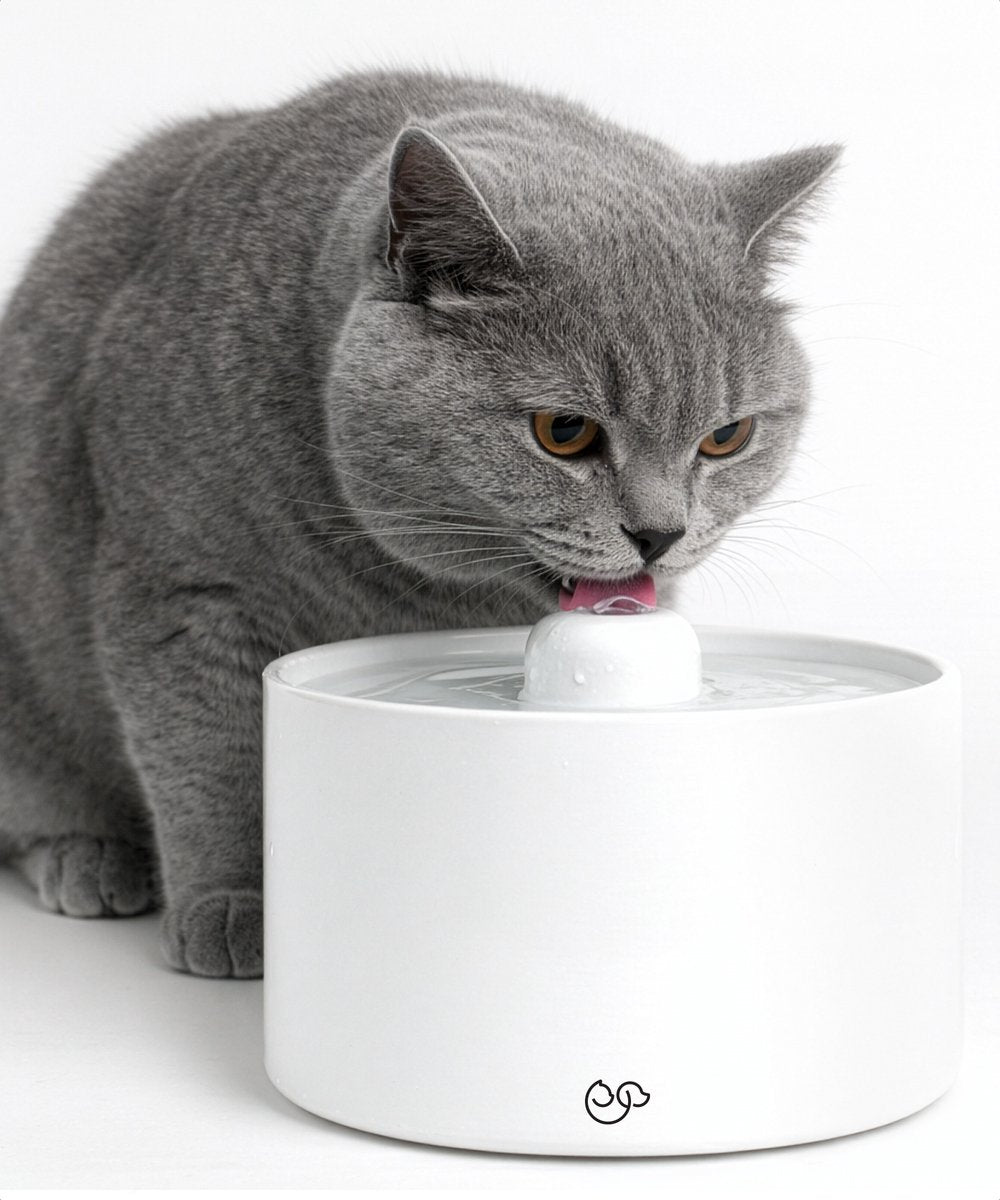 Jake & Jacky Keramische Drinkfontein Kat en Hond - 2L - 19x19x13,6 cm - Gebroken Wit