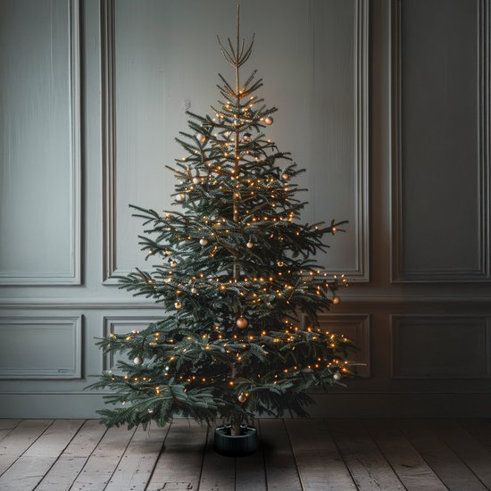 Arti Casa Kerstboom Standaard - Kerstboomvoet voor Echte Kerstboom - Kerstboomstandaard voor Binnen - Stammen tussen 35 - 130 mm