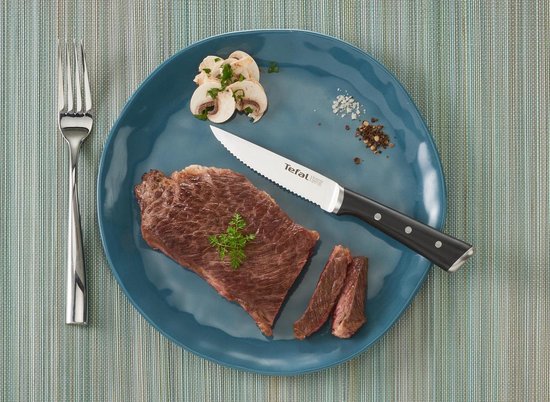 Tefal Ice Force - Steakmes - 11 cm - 4-delige Set - RVS - IJsgehard - Ergonomisch