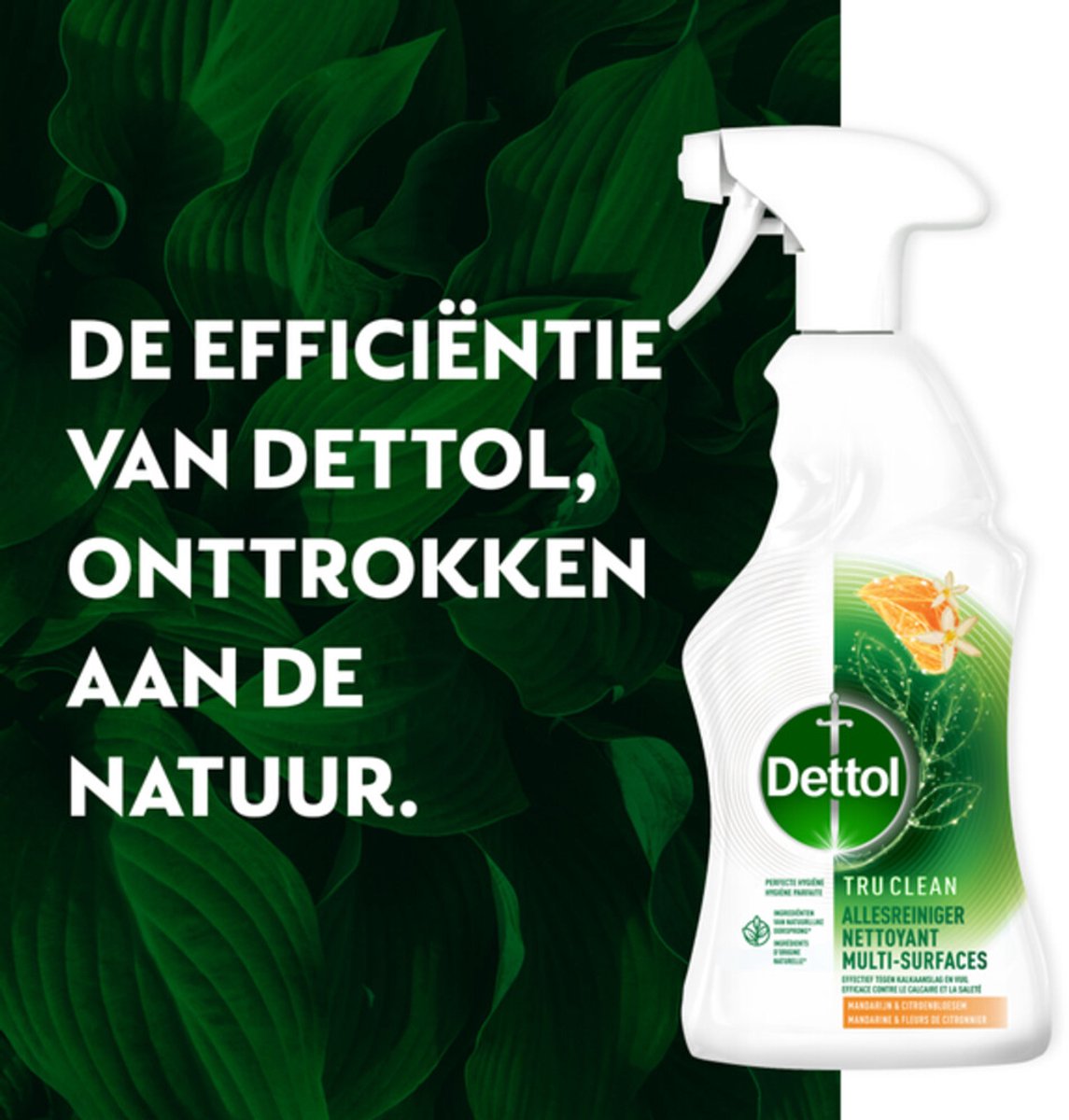 Set van 6x Dettol Allesreiniger Spray - Tru Clean - Mandarijn & Citroenbloesem - 500 ml
