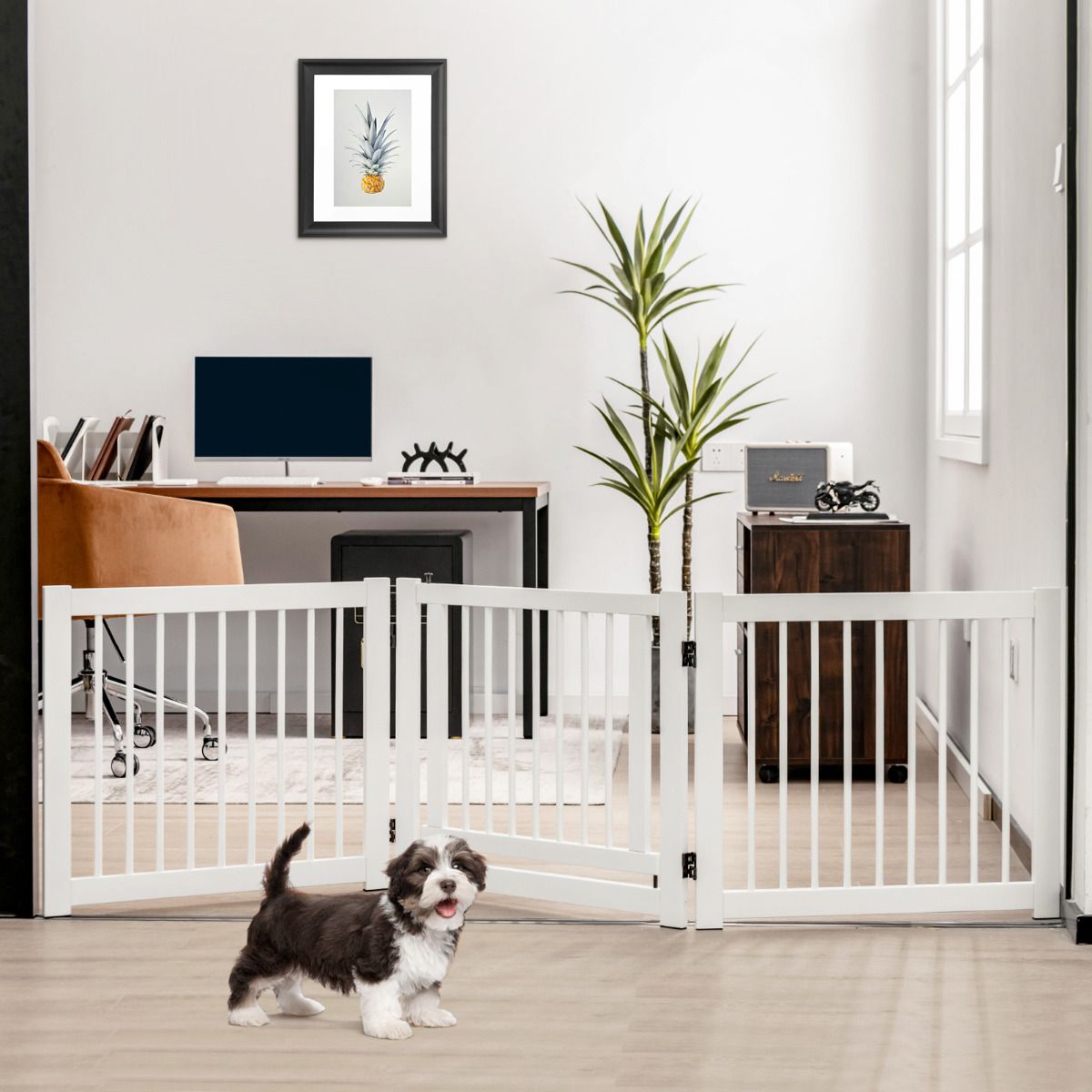 Coast Opvouwbaar Hondenhek - 3-delig - Dennenhout - Wit - 61 cm hoog