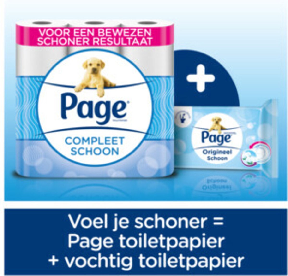 Page Toiletpapier Compleet Schoon 2-laags - 24 rollen - Wit