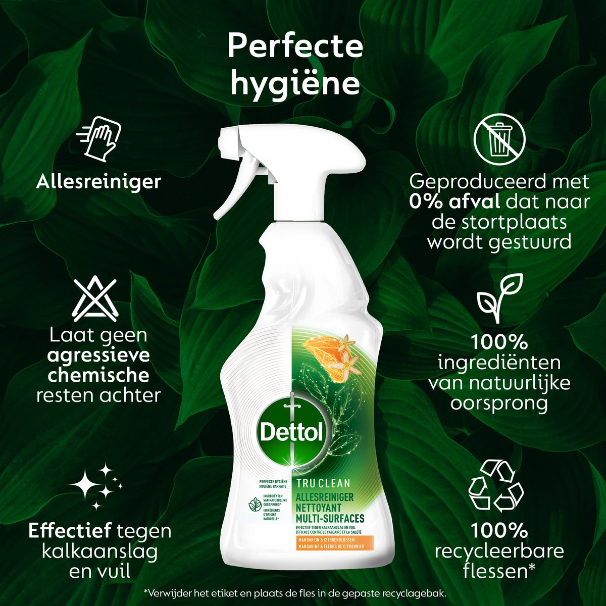 Set van 6x Dettol Allesreiniger Spray - Tru Clean - Mandarijn & Citroenbloesem - 500 ml
