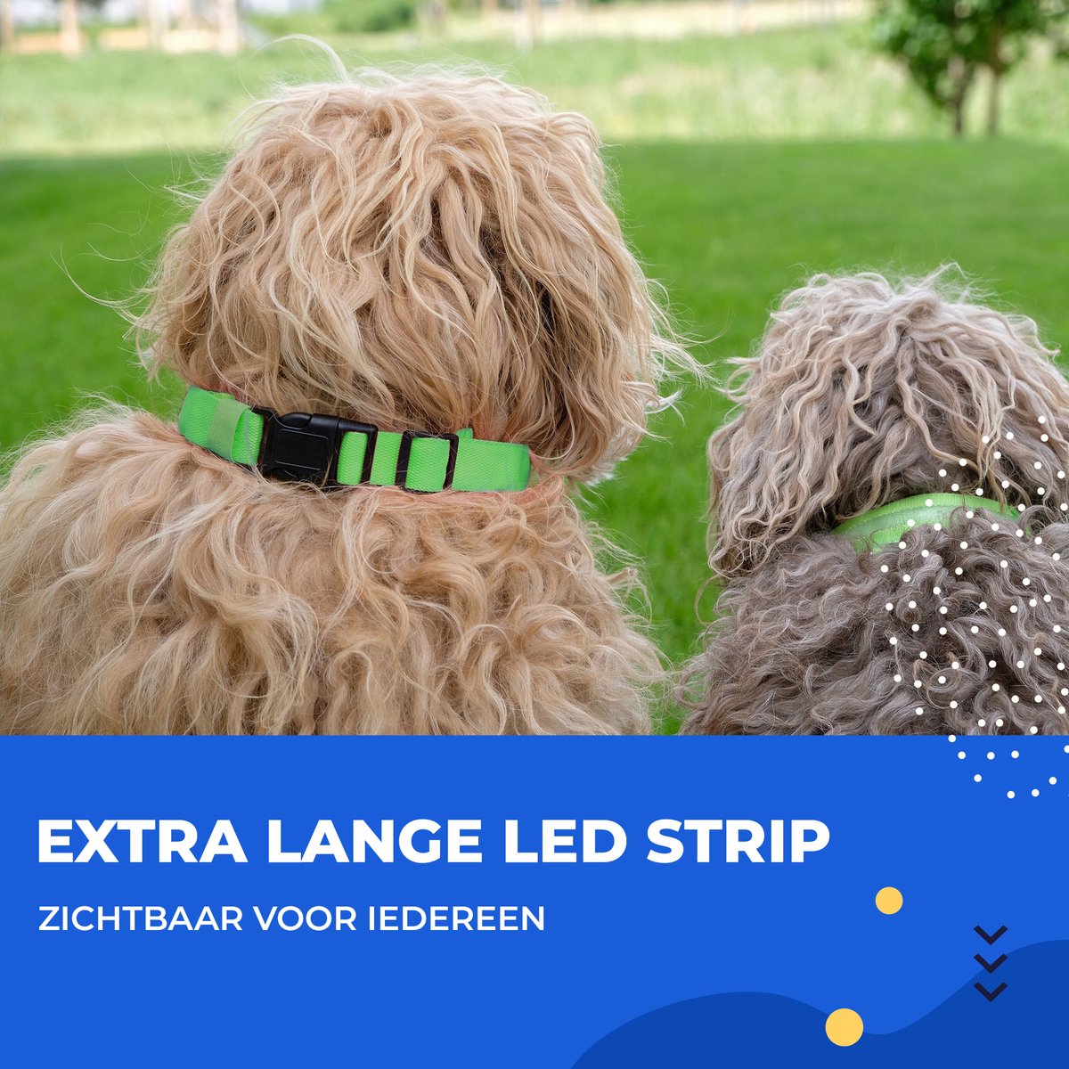 Dutchwide Lichtgevende Hondenhalsband - Extra Sterk - Klikhalsband - Verstelbaar - Reflecterend - Maat L - Groen