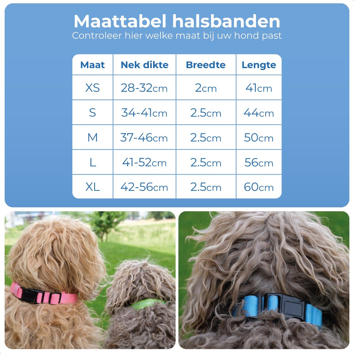 Dutchwide Lichtgevende Hondenhalsband - Extra Sterk - Klikhalsband - Verstelbaar - Reflecterend - Maat L - Groen
