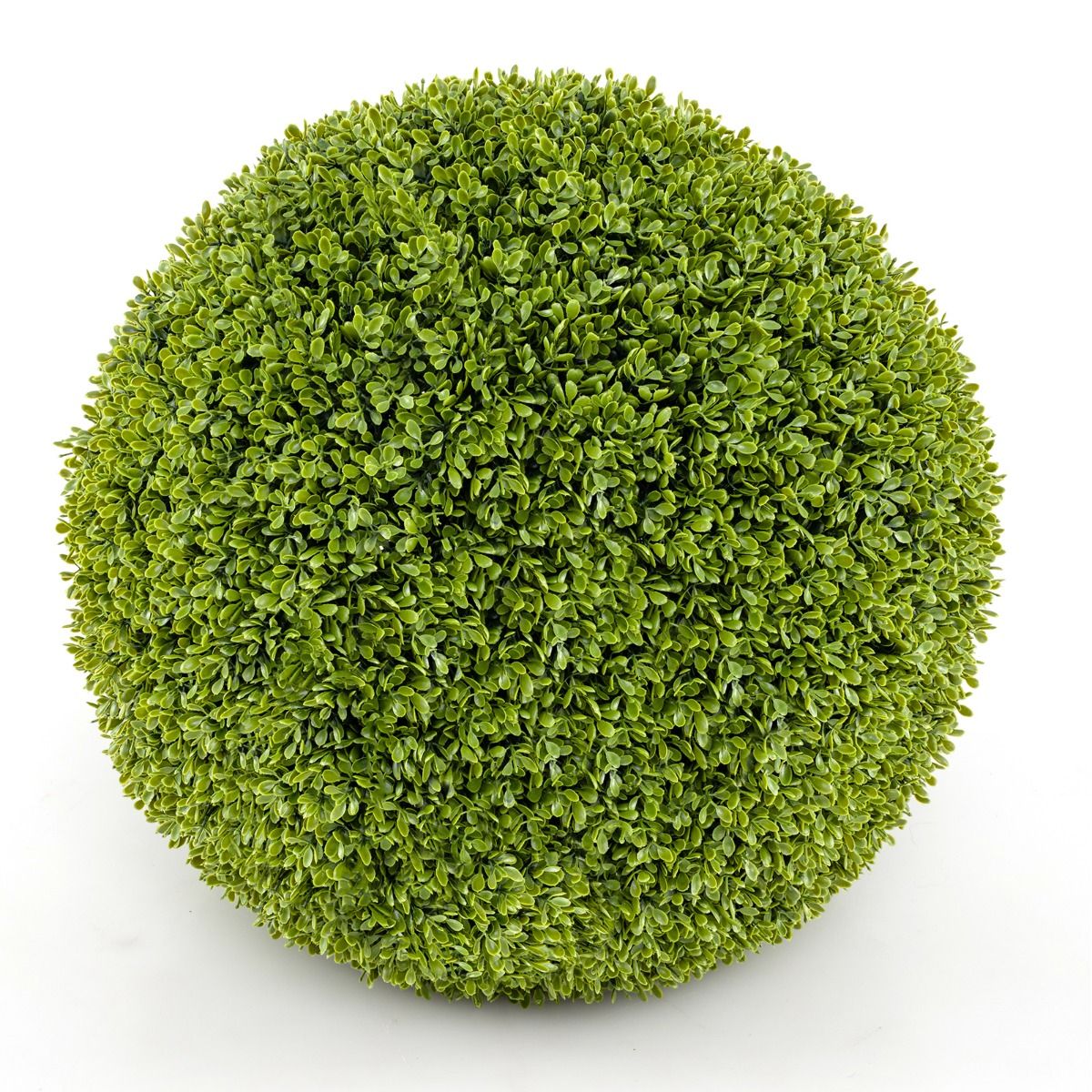 Coast 2 Stuks Realistische Kunstbuxusballen Ø 40 & 50 cm - UV- en Waterbestendig Groen – Decoratieve Bolplanten voor Binnen en Buiten