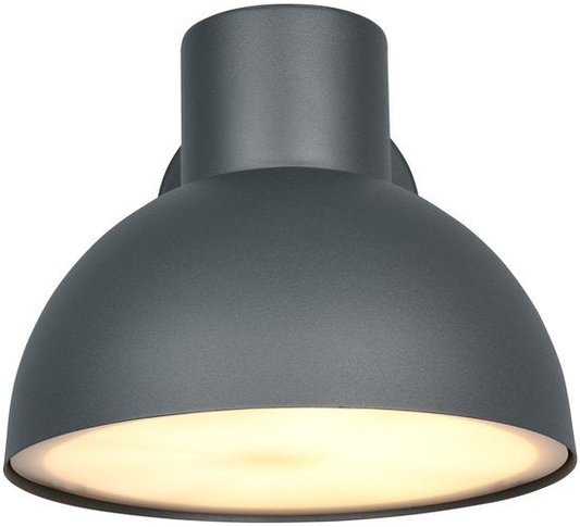 TRIO ELBE - Wandlamp - Antraciet - excl. 1x E27 4,9 W - Wandmontage - Buitenverlichting - IP44