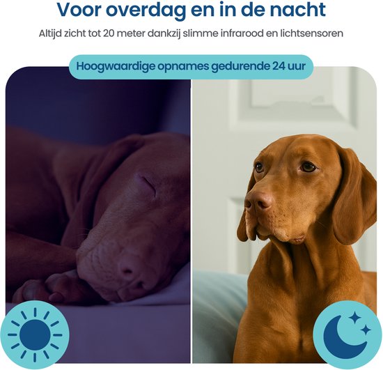 Gologi Huisdiercamera met App - Hondencamera - Pet camera - Beveiligingscamera - Security camera - Voor alle huisdieren - Met wifi - Zwart