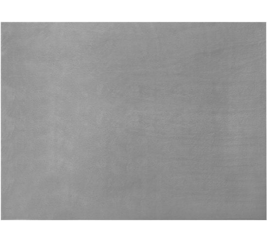 tectake® Kortpolig Vloerkleed - 120 x 170 cm - Grijs - Tapijt voor Woonkamer, Slaapkamer, Eetkamer - Onderhoudsvriendelijk en Wasbaar - Antislip Ondertapijt - Allergievriendelijk - Diverse maten en kleuren