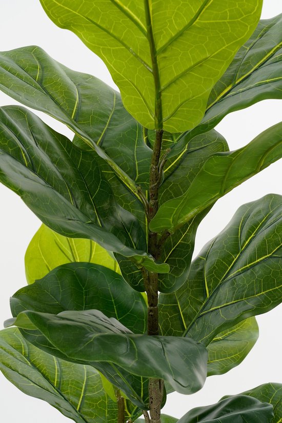 Mica Decorations Ficus Lyrata Kunstplant in Pot - H150 x Ø50 cm - Groen