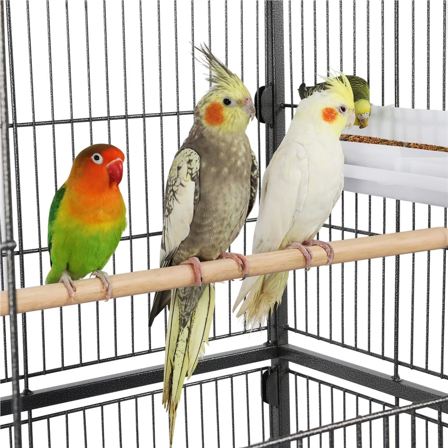 Yaheetech XXL Vogelkooi Met 360° Zwenkwielen – Voorzien Van Onderste Opbergplank En 4 Zitstokken En Verwijderbare Bodemplaat – Voor Parkieten En Valkparkieten – Zwart Metaal – 93,5 x 56,5 x 153 cm