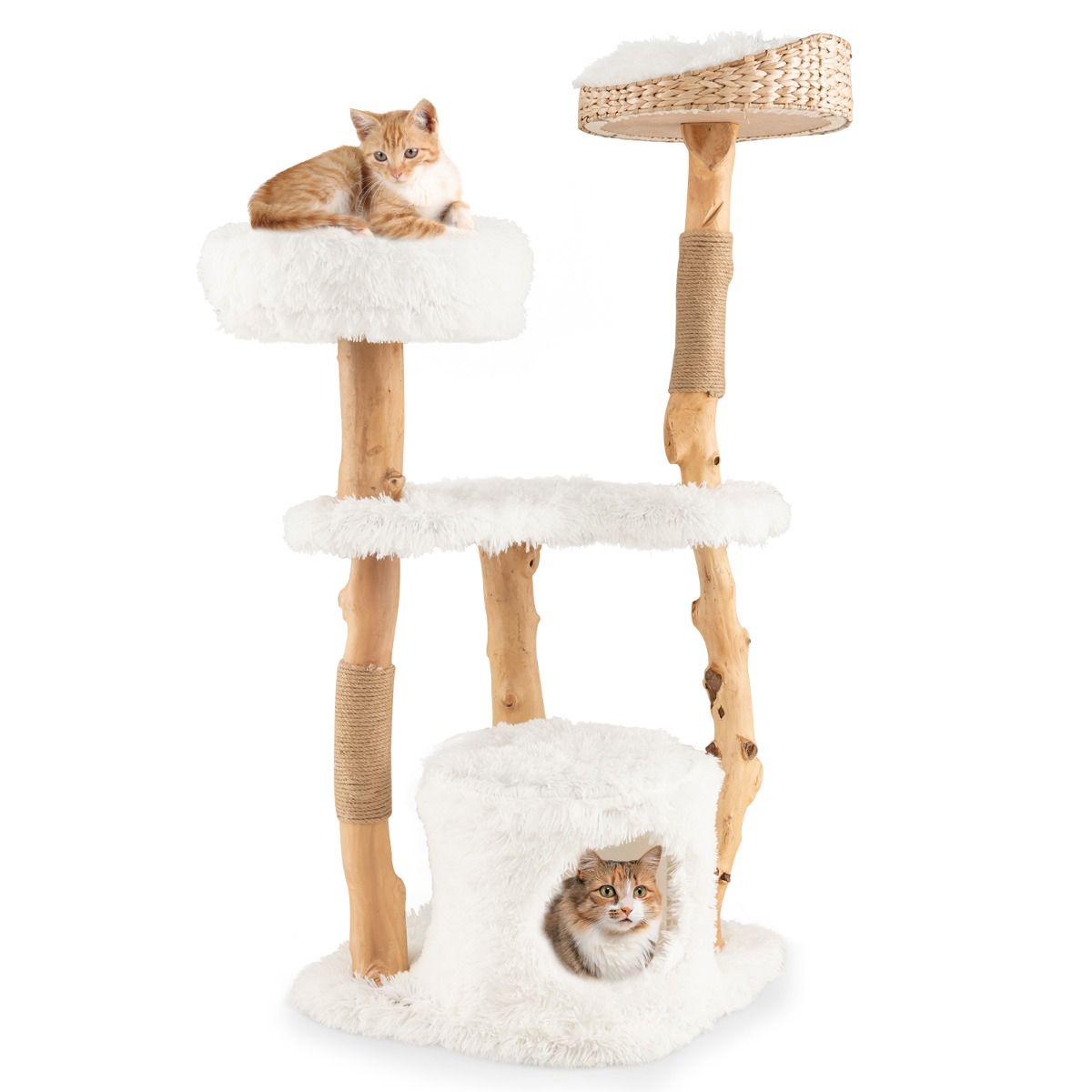 Coast Krabpaal voor Katten - Massief hout en jute - 5 verdiepingen - Naturel en wit - 124 cm