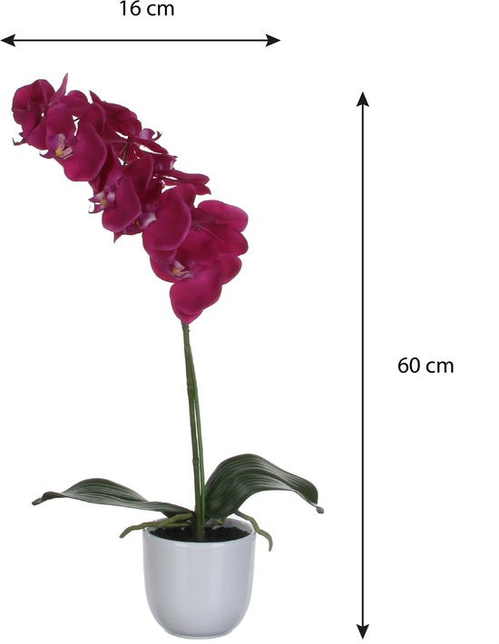 Mica Decorations Phalaenopsis Kunstplant in Bloempot Tusca - H60 x Ø16 cm - Paars