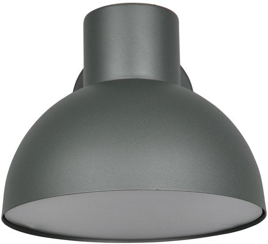 TRIO ELBE - Wandlamp - Antraciet - excl. 1x E27 4,9 W - Wandmontage - Buitenverlichting - IP44