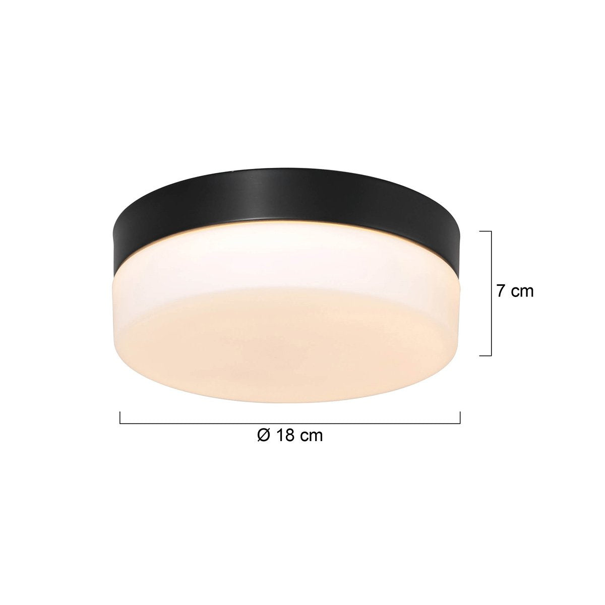 Plafondlamp Ikaro 1362ZW Zwart Ø18cm - Modern, Elektronica & Glas, Steinhauer