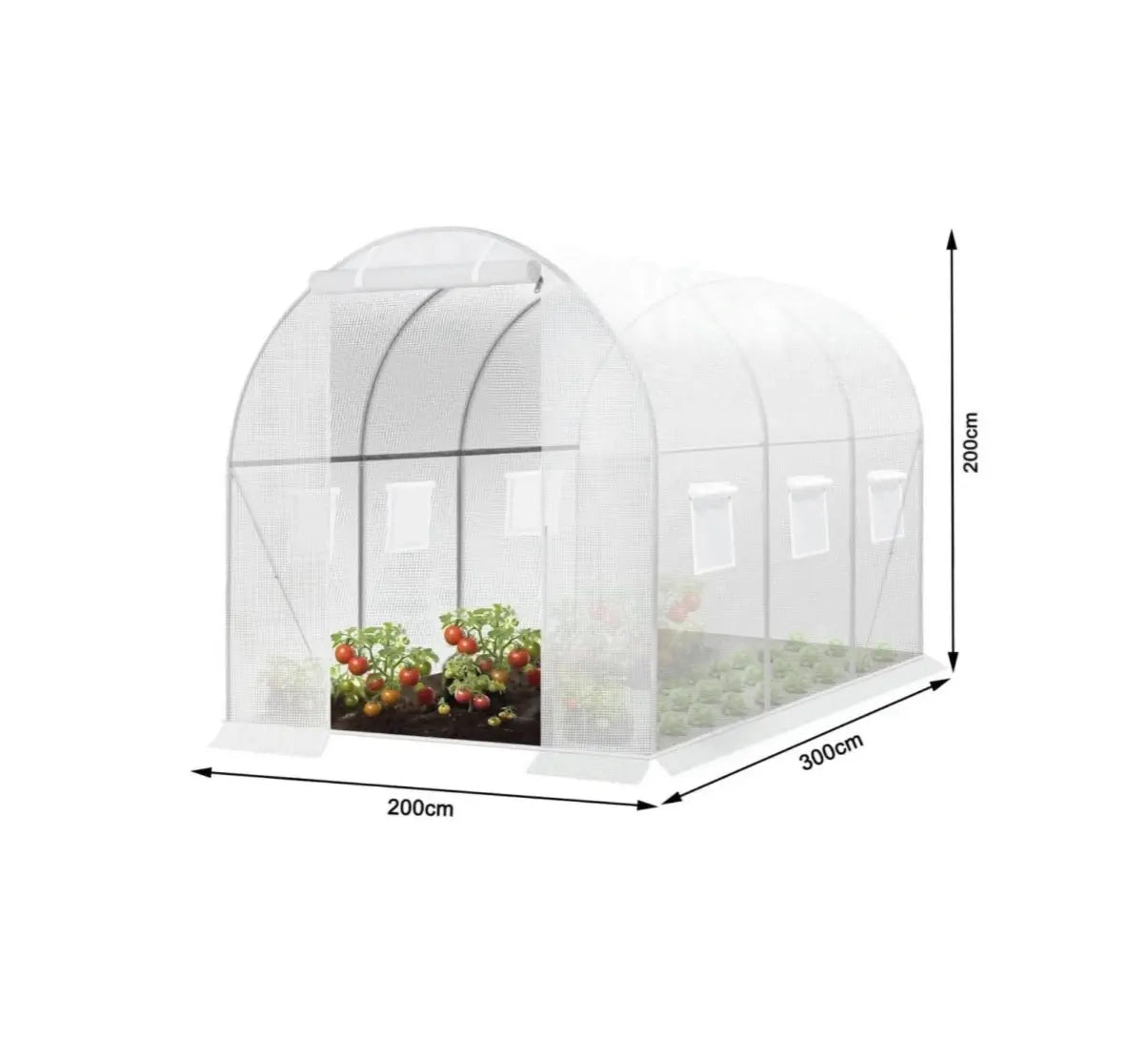 Woltu Foliekas 300x200x200 cm Wit - Ruime Tunnelkas met 6 Ramen en Ritssluiting