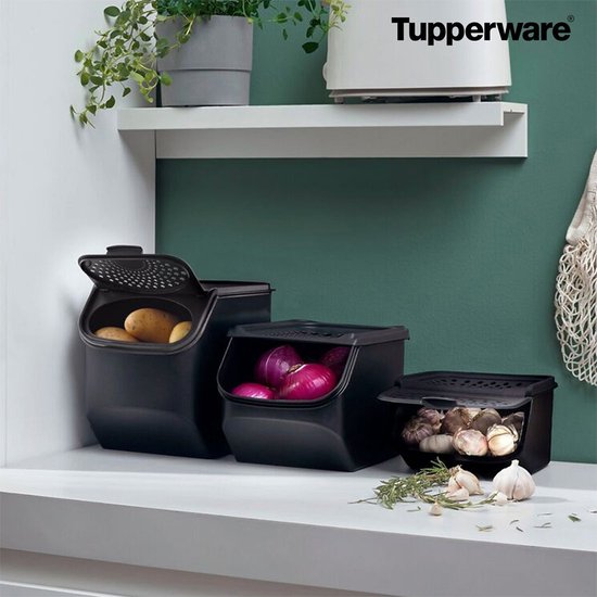 Tupperware GarlicSmart 2,3L - Knoflookcontainer - BPA-vrij - Voorraadbak voor Knoflook - stapelbaar - Keep-fresh Container - Knoflook blijft langer vers
