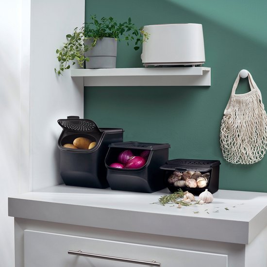 Tupperware GarlicSmart 2,3L - Knoflookcontainer - BPA-vrij - Voorraadbak voor Knoflook - stapelbaar - Keep-fresh Container - Knoflook blijft langer vers