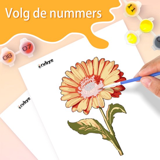 Rubye® Schilderen Op Nummer Volwassenen – Roos & Zonnebloem – Inclusief Verf en Penselen – Canvas Schildersdoek - Kleuren op Nummer - Dubbele Set - 15x20cm