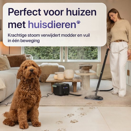LUMAN Stoomreiniger MAX – 2600W - 60 min Stoomtijd - 2.5L Watertank – Handstoomreiniger & Tapijtreiniger - Zwart