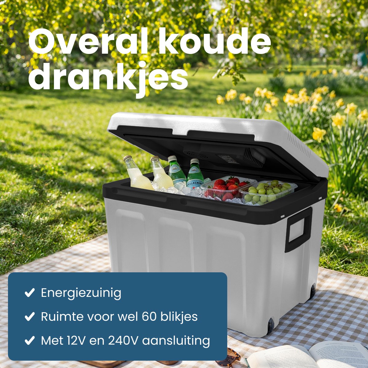 Auronic elektrische koelbox - 40L - koelen en verwarmen - 12V/230V - draagbaar