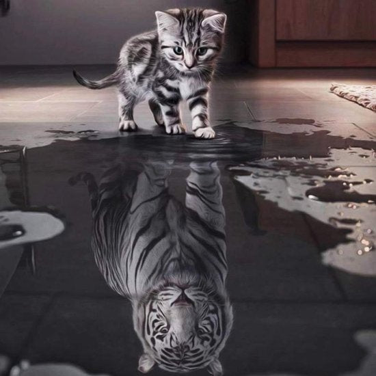 Rubye® Diamond Painting Volwassenen - Diamond Painting Kinderen - Diamond Painting Pakket Volledig - Kitten naar Tijger - 42x42cm