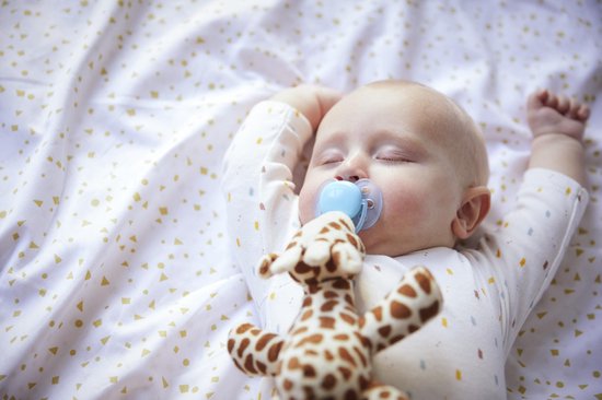 Philips Avent Knuffel Fopspeen - 0 tot 6 Maanden - 1 Speentje - Girafje - SCF348/11