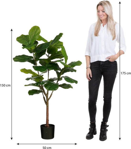 Mica Decorations Ficus Lyrata Kunstplant - Kunststof Kamerplant in Zwarte Pot - Water- en UV Bestendig voor Binnen en Buiten - Onderhoudsvrij Botanisch Decor - H150 x Ø50 cm - Groen